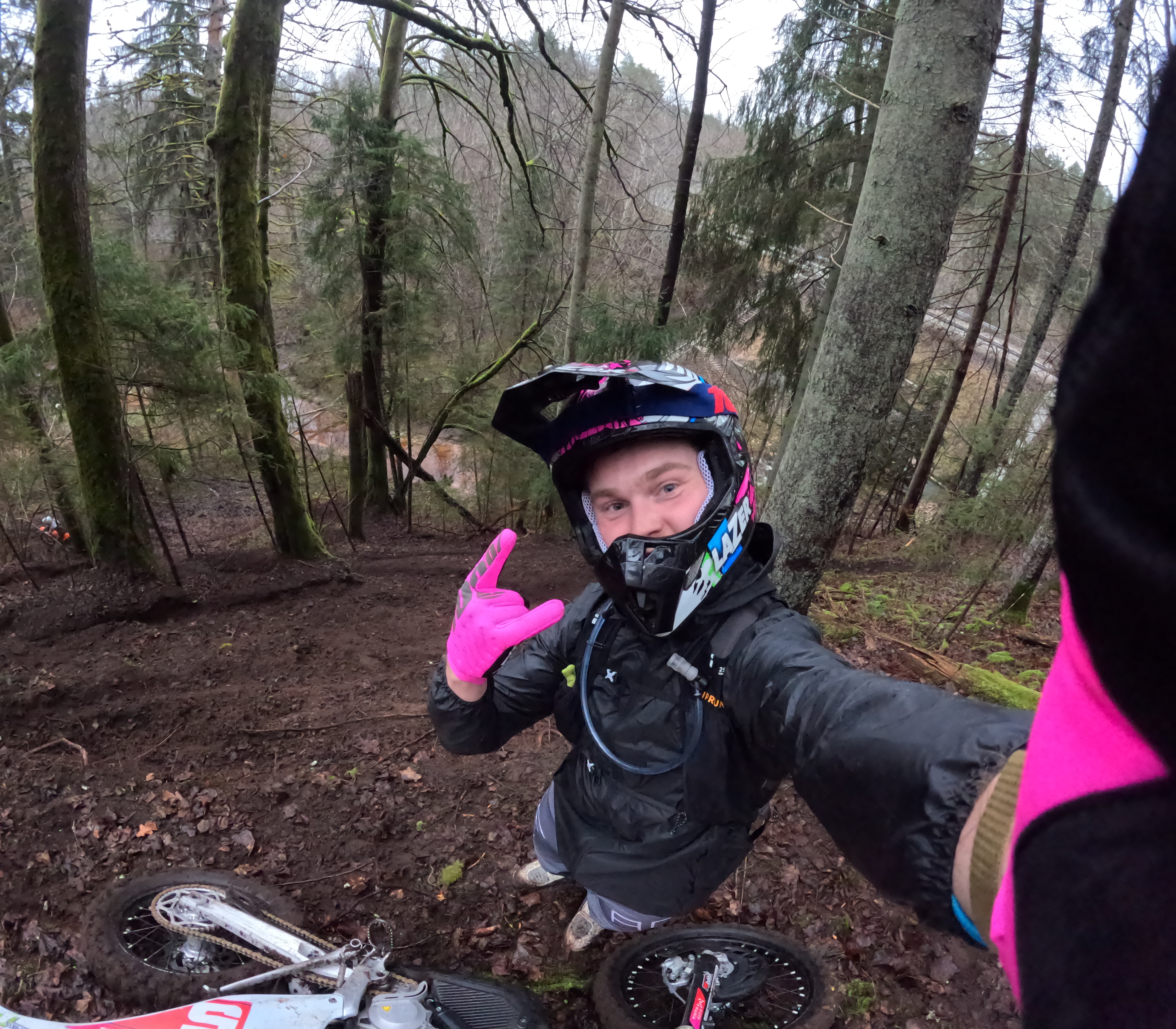 Ričards Ansviesulis